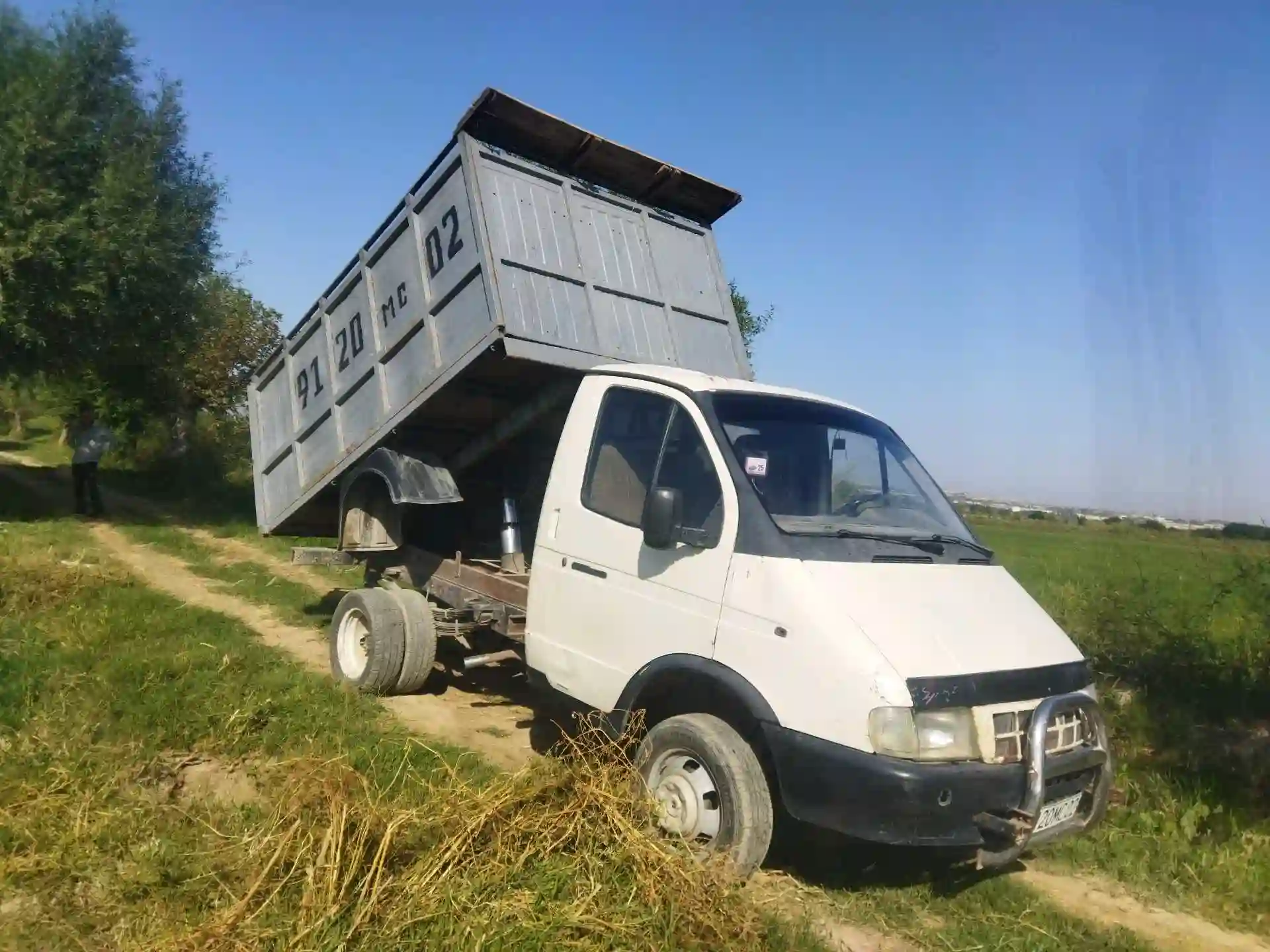 газель