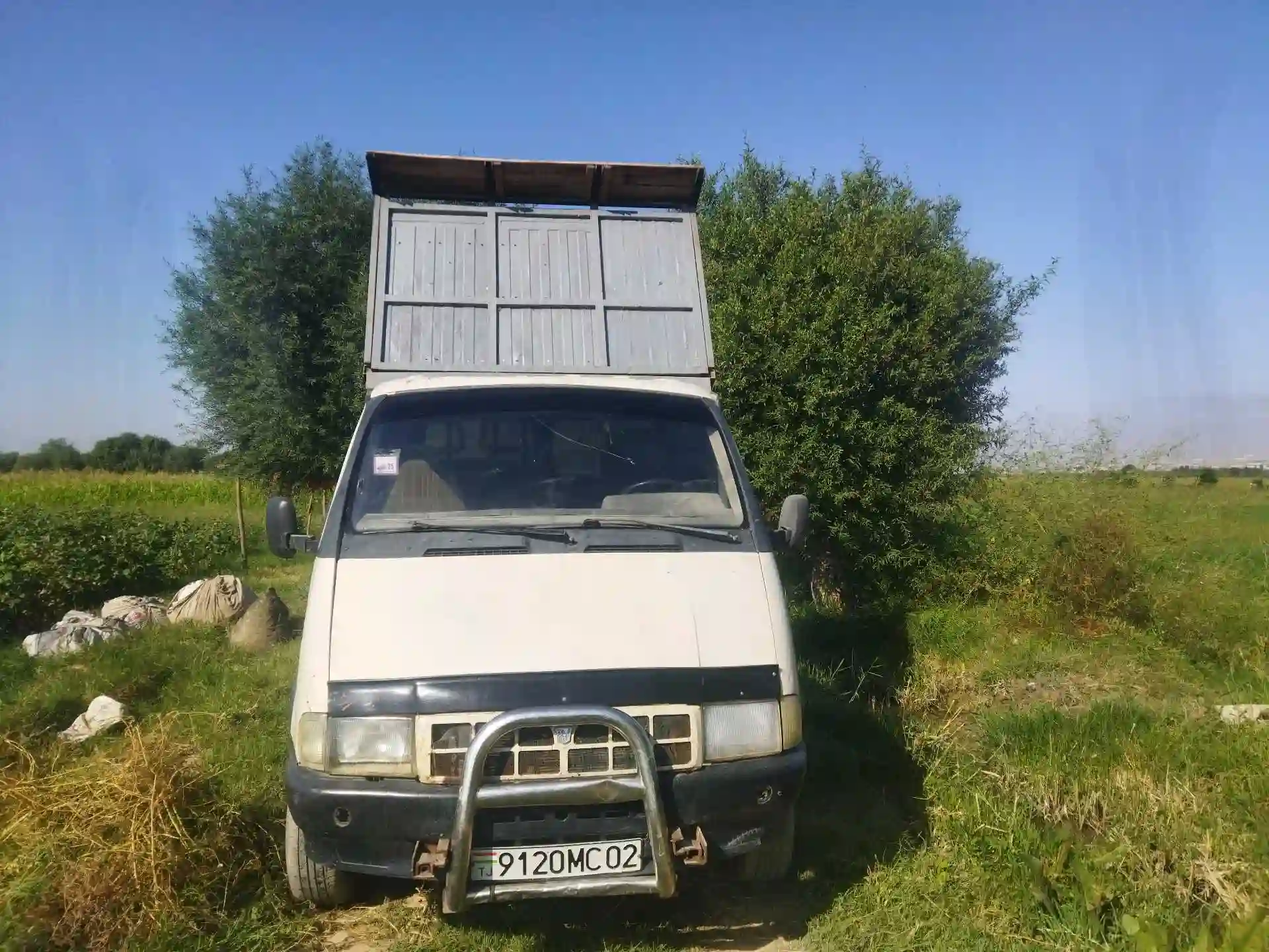 газель