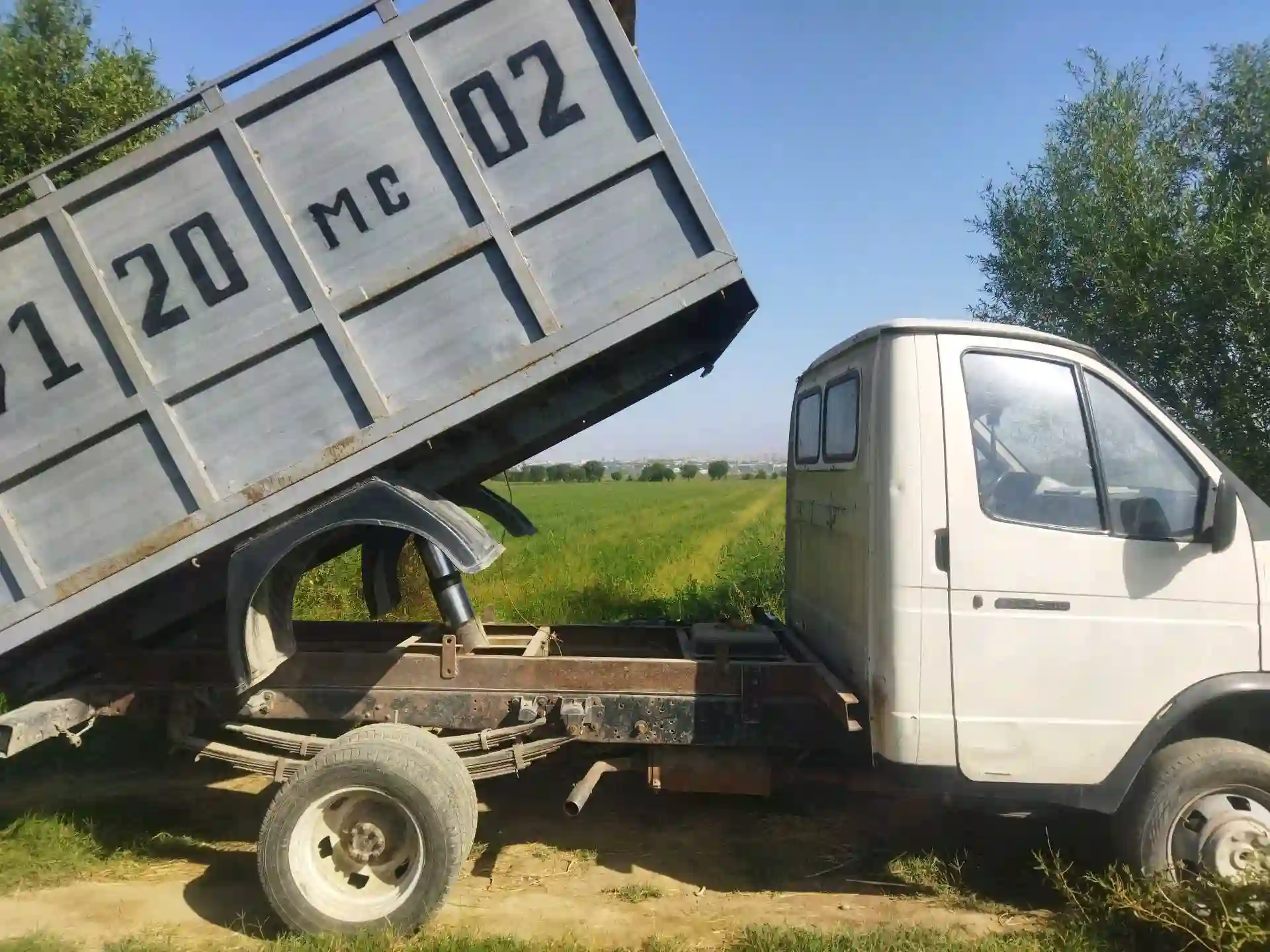 газель