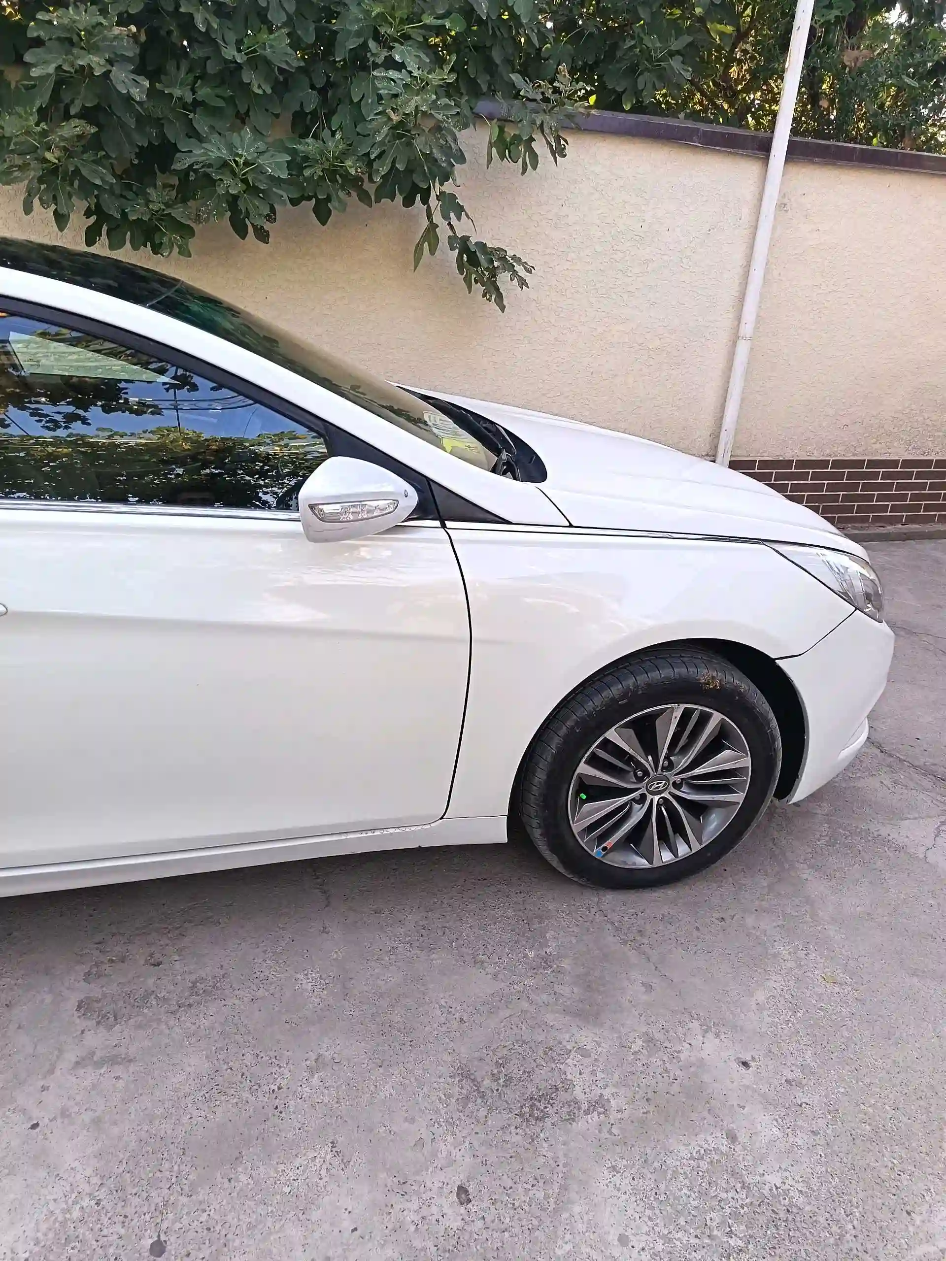 Hyundai Sonata 2010