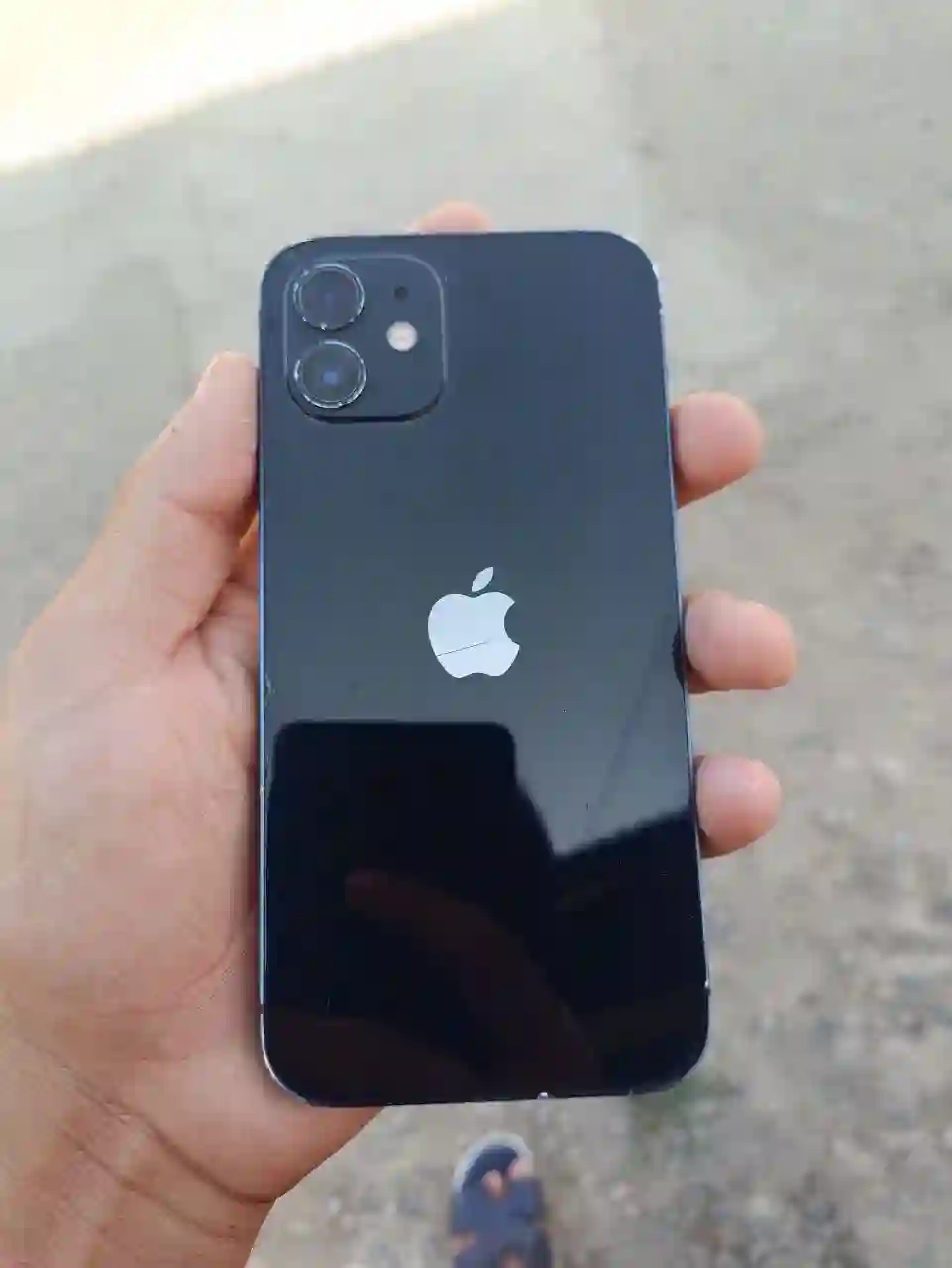 Apple 12