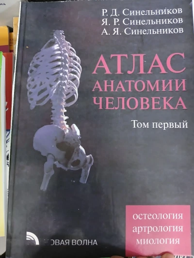 Книга Атлас Анатомии человека — миниатюра 1