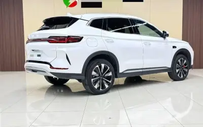 BYD Song Plus, 2025 — миниатюра 1