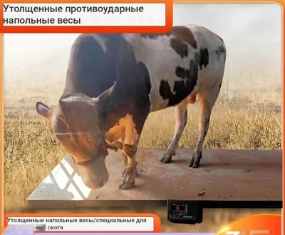Тарозу — миниатюра 1