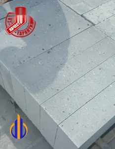 Газоблоки 10х30х60