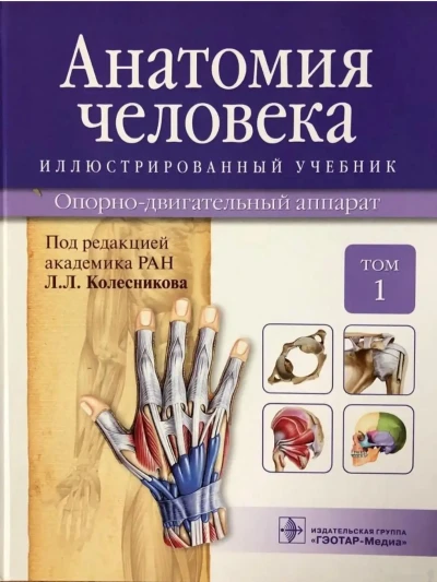 Книга Анатомия человека — миниатюра 1