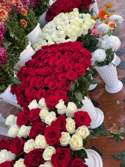 Голландская роза — миниатюра 1