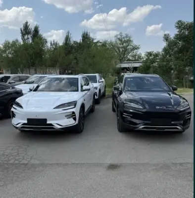 BYD Song Plus 2025 — миниатюра 4