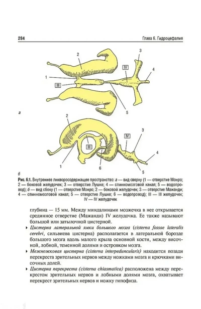 Книга Основы нейрохирургии