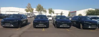 BYD Song Plus 2025 — миниатюра 2