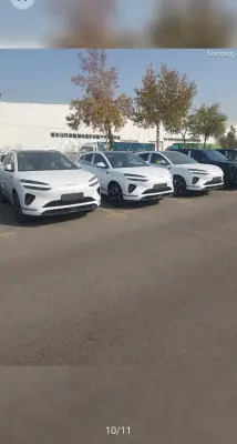 BYD Sea Lion 06, 2025