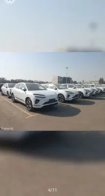 BYD Sea Lion 06, 2025