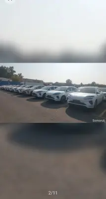 BYD Sea Lion 06, 2025