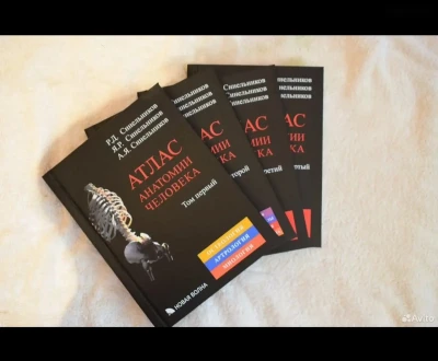 Книга Анатомия Человека Синельников