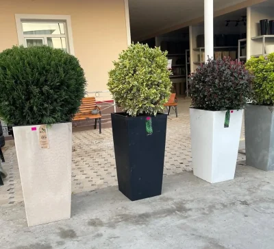 Гулхо барои Ресторан ва Офисхо