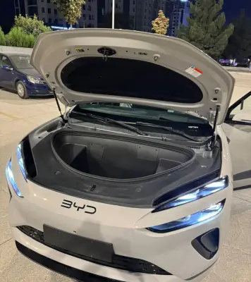 BYD Sea Lion 06, 2025