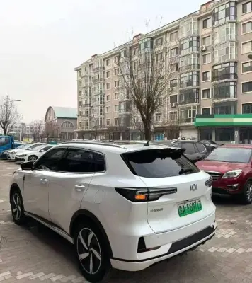 Легковые автомобили Другие марки, 2024