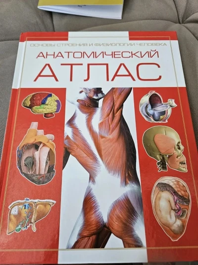 Анатомический атлас