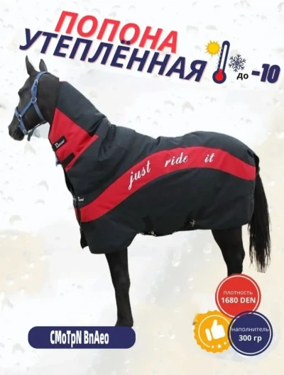 Попона для лошадей