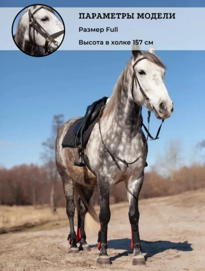 Ногавки для лошадей