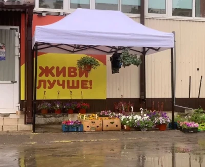 Зонтик — миниатюра 1