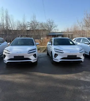 BYD Sea Lion 06, 2025