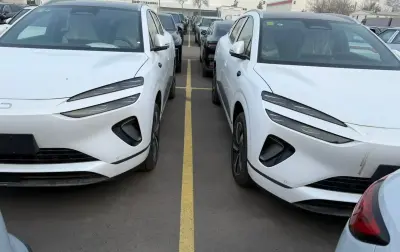 BYD Sea Lion 06, 2025