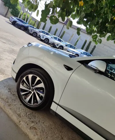 BYD Sea Lion 06, 2025 — миниатюра 8