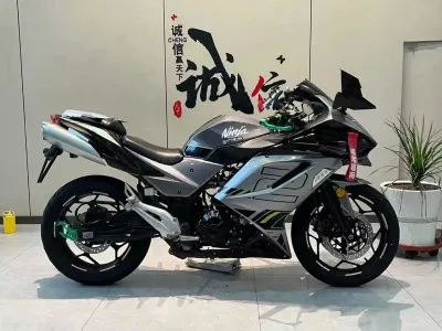 Мотоцикл Kawasaki Ninja — миниатюра 4