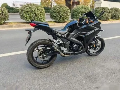 Мотоцикл Dugati Panigal 450 cc — миниатюра 3