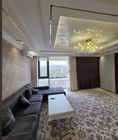 2-комн. квартира, 10 этаж, 90м², сино