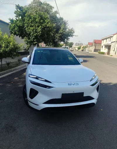 BYD Sea Lion 06, 2025