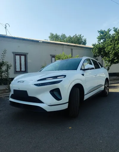 BYD Sea Lion 06, 2025