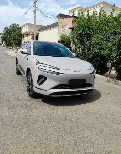 BYD Sea Lion 06, 2025