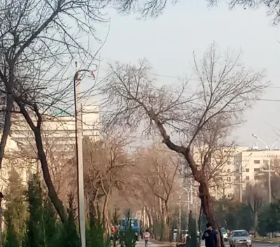 Помещение под магазин / салон, 110м², Диагностика, Кооператор