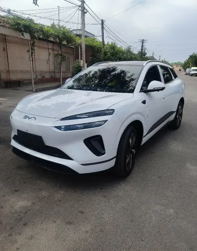 BYD Sea Lion 06, 2025