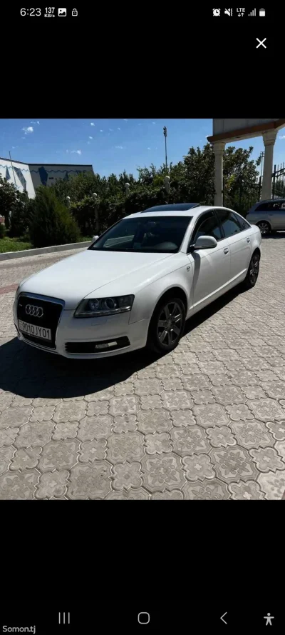 Люк на Audi