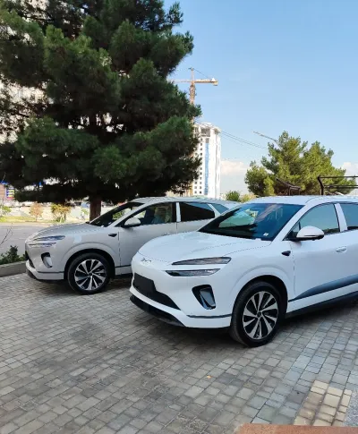 BYD Sea Lion 06, 2026 — миниатюра 1