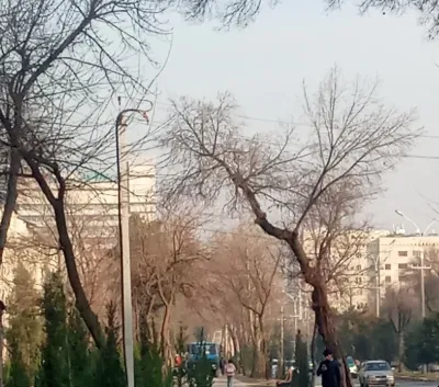 Помещение под магазин / салон, 85м², Донишгохи Тичорати — миниатюра 10