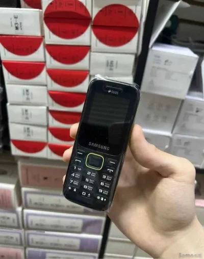 Samsung B310e