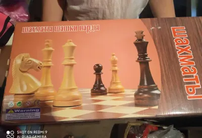 Шахматы