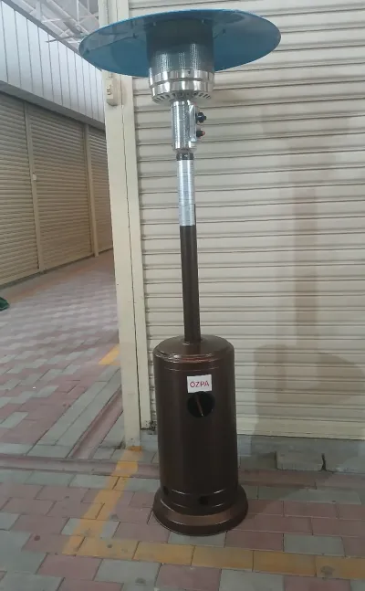 Газовый обогреватель