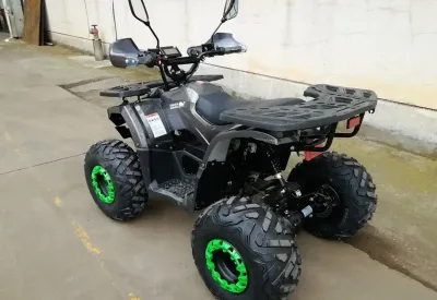 Квадроцикл W1202