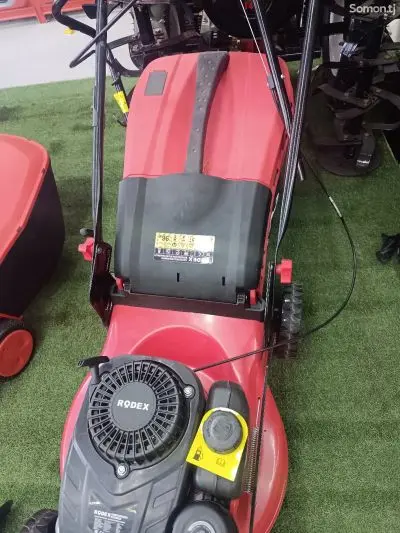 Бензиновая газонокосилка Rodex RDX
