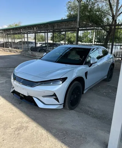 BYD Song L, 2025