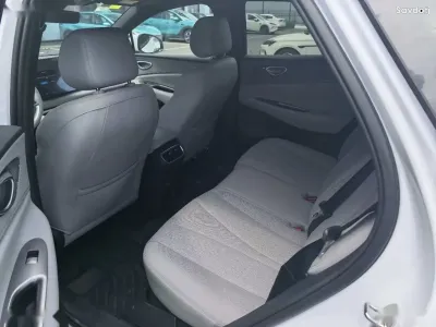 BYD Sea Lion 06, 2025