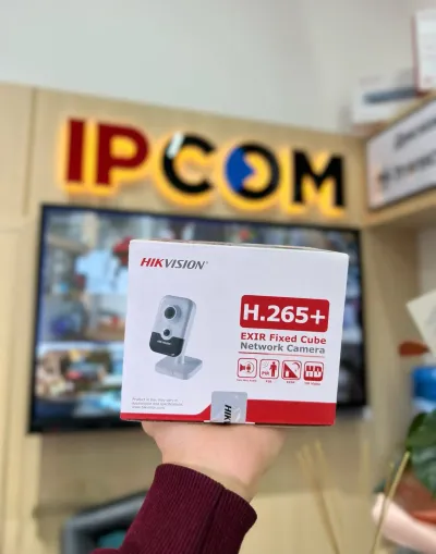 Камера внутренняя IP Hikivision DS-2CD2421G0-I2mmCO-STD