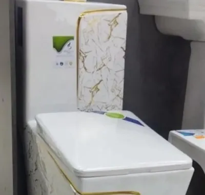 Унитаз Vellista White Gold