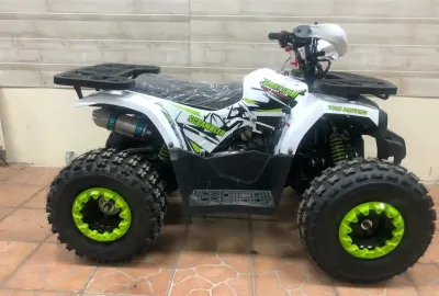 Квадроцикл W1202