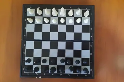 Шахматы магнитные 3в1